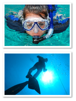 BANNER Free Diving.jpg