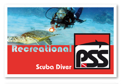 BANNER Scuba Diver.jpg
