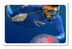 Brevetto Advanced Free Diving Instructor.jpg