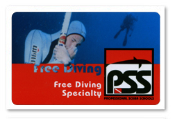 Brevetto Free Diving Specialty.jpg
