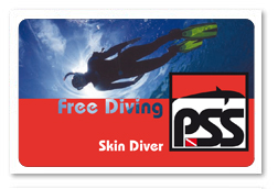 Brevetto Skin Diver.jpg