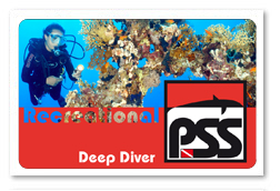 carddeepdiver.jpg