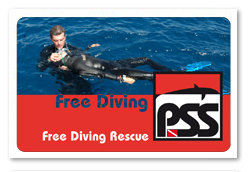 cardfreerescue.jpg
