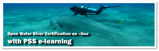 elearningeng.jpg