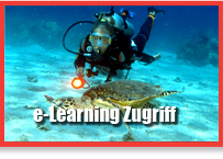 elearningpiccolode.jpg