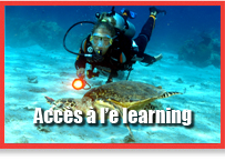elearningpiccolofr.jpg