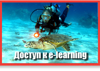 elearningpiccoloru.jpg