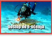 elearningpiccolosl.jpg