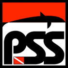 PSS - PSS Worldwide
