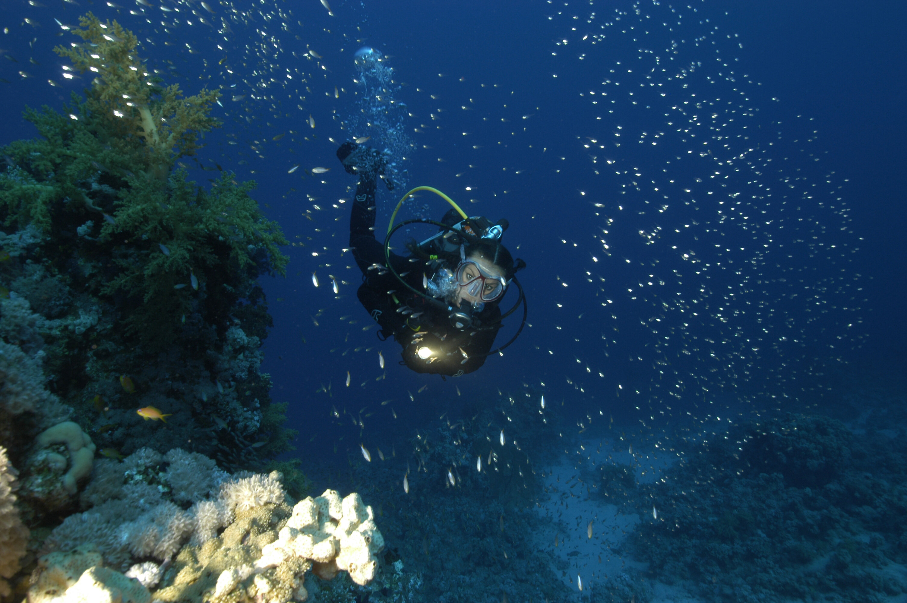 DESTINAZIONI EMERGENTI PER LE IMMERSIONI NEL 2025 - EUROPA DEL NORD E ADRIATICO