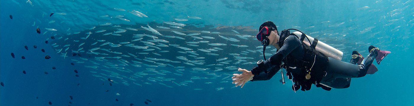 PSS Advanced Open Water Diver