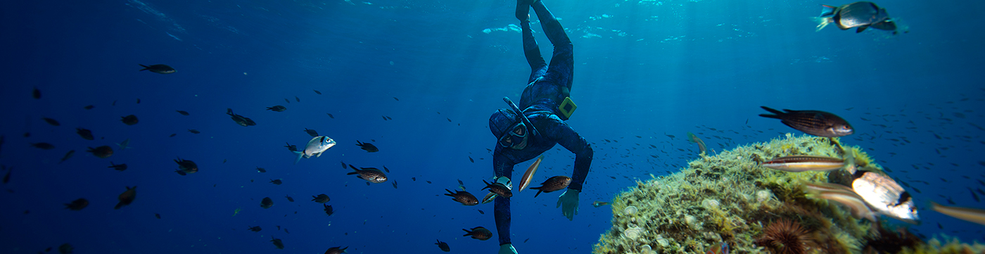 international freediving courses