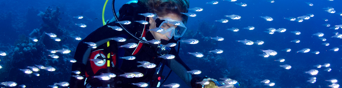 recognized diving certification