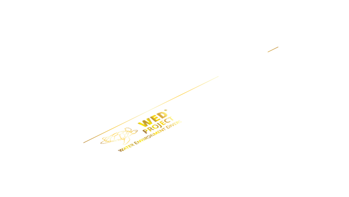 international scuba courses